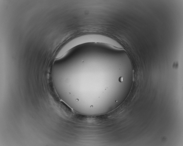 X0000113020264200909171502