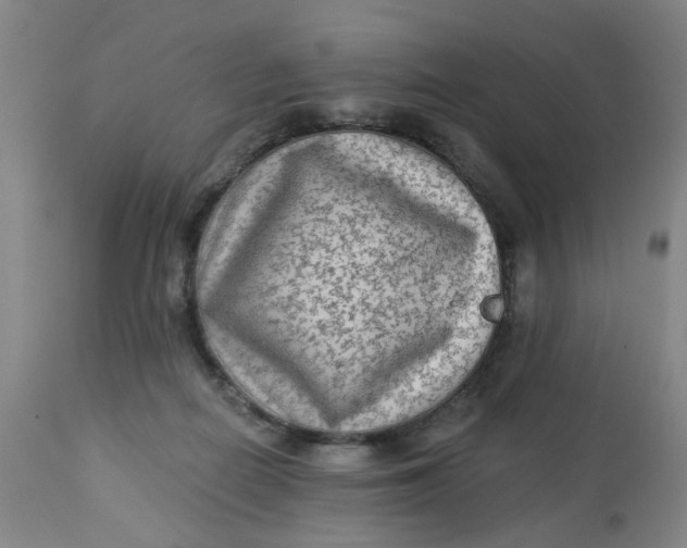 X0000113020266200909171502