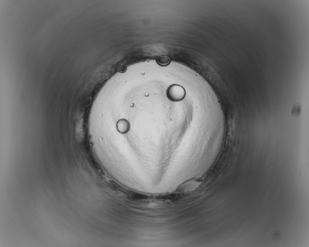 X0000113020267200909171502