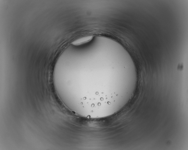 X0000113020268200909171502