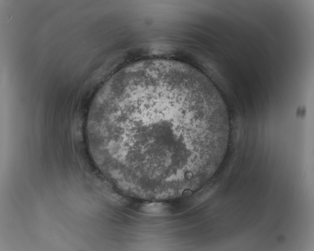 X0000113020269200909171502