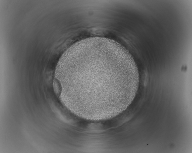 X0000113020271200909171502