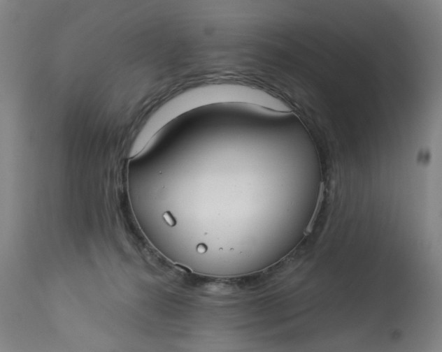 X0000113020272200909171502