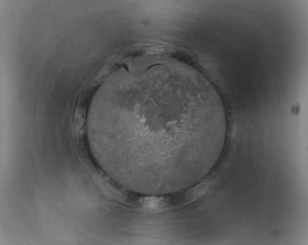 X0000113020273200909171502