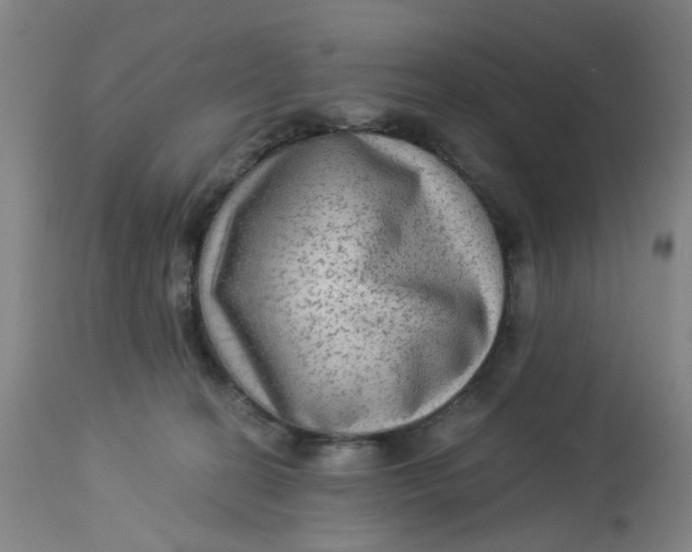 X0000113020274200909171502