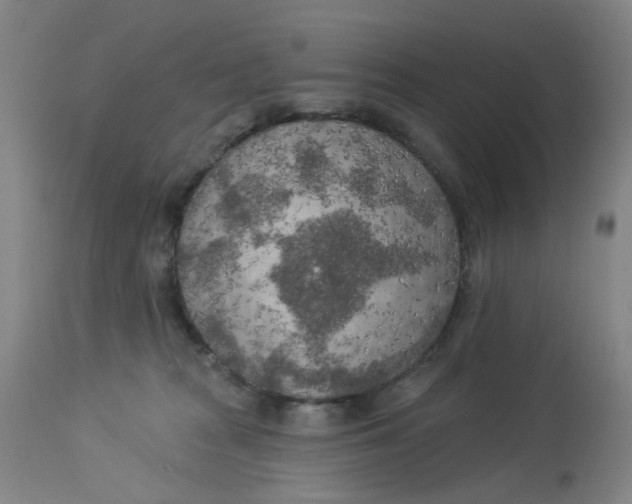 X0000113020277200909171502