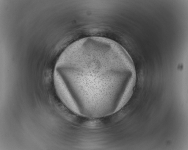 X0000113020278200909171502