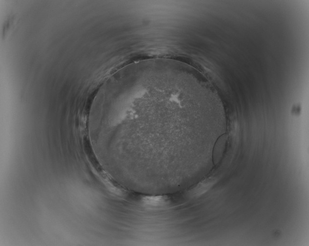 X0000113020281200909171502