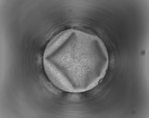 X0000113020282200909171502