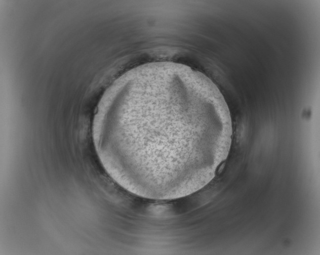 X0000113020283200909171502