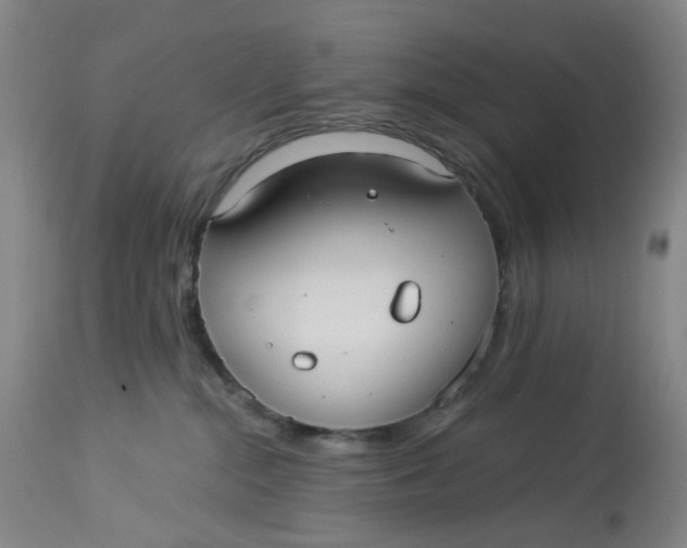 X0000113020284200909171502