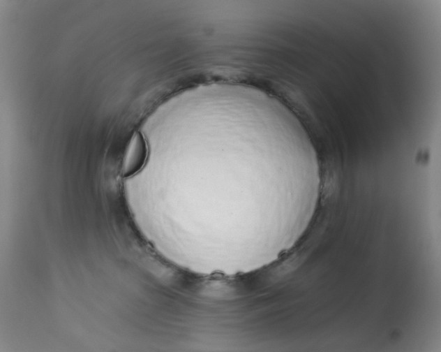 X0000113020285200909171502