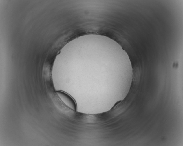 X0000113020287200909171502