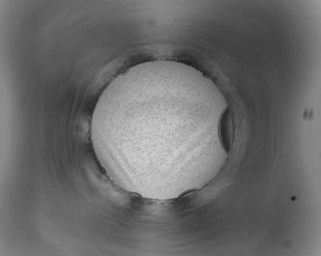 X0000113020288200909171502