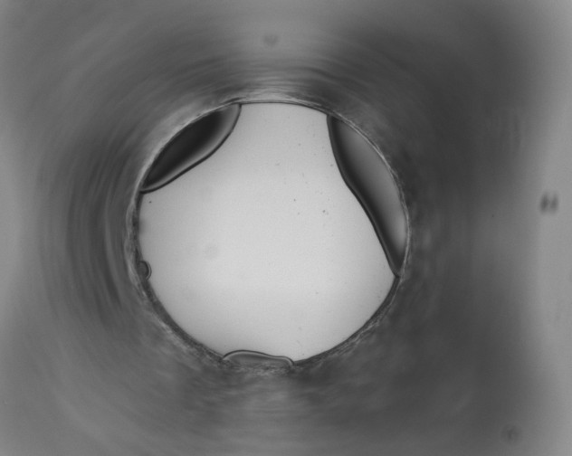 X0000113020289200909171501