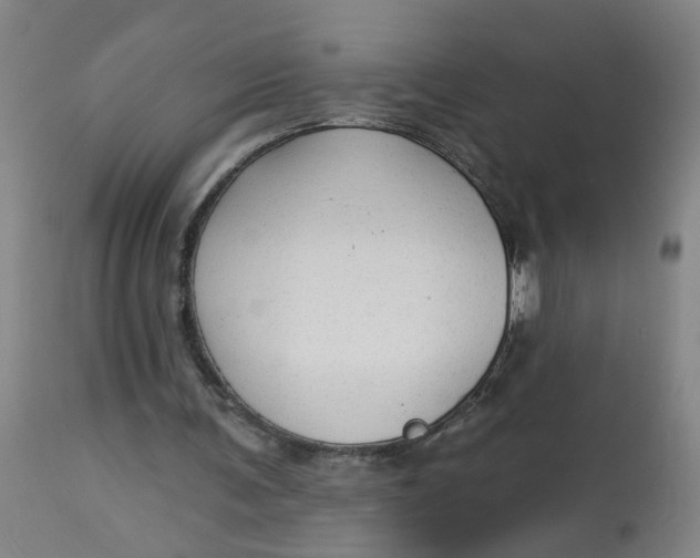 X0000113020291200909171501