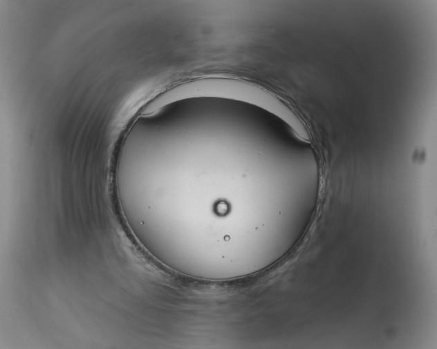 X0000113020293200909171501