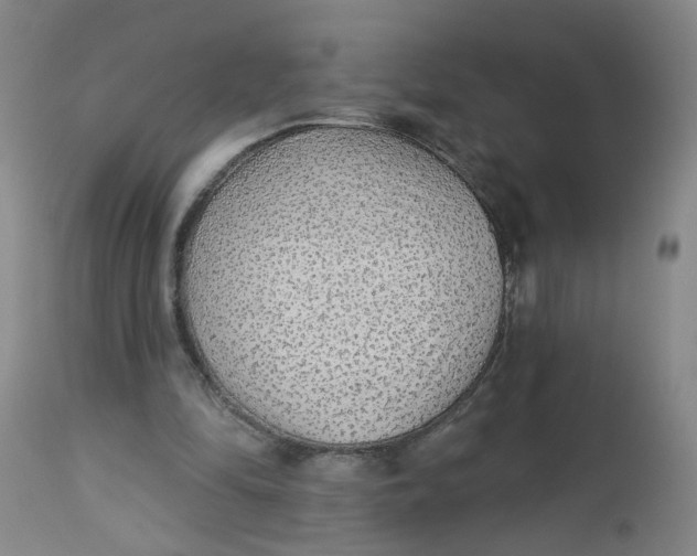 X0000113020294200909171501