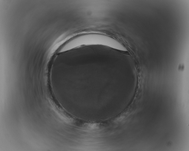 X0000113020295200909171501