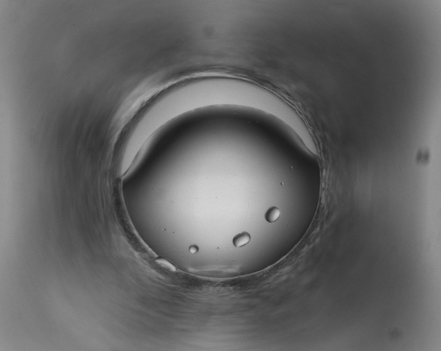 X0000113020296200909171501