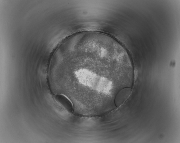 X0000113020297200909171501