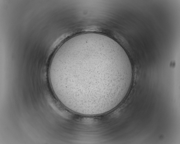 X0000113020298200909171501