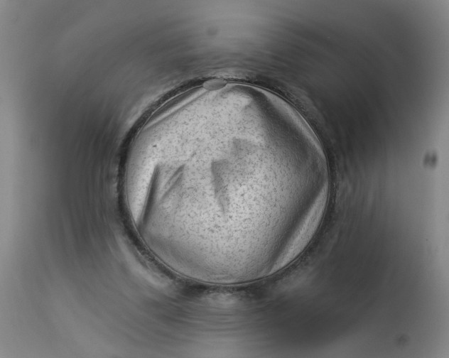 X0000113020299200909171501