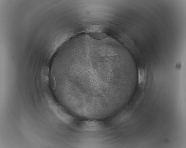 X0000113020300200909171501