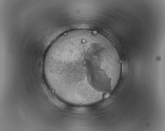 X0000113020301200909171501