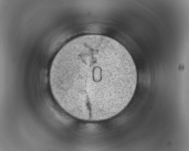 X0000113020302200909171501