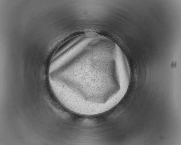 X0000113020303200909171501