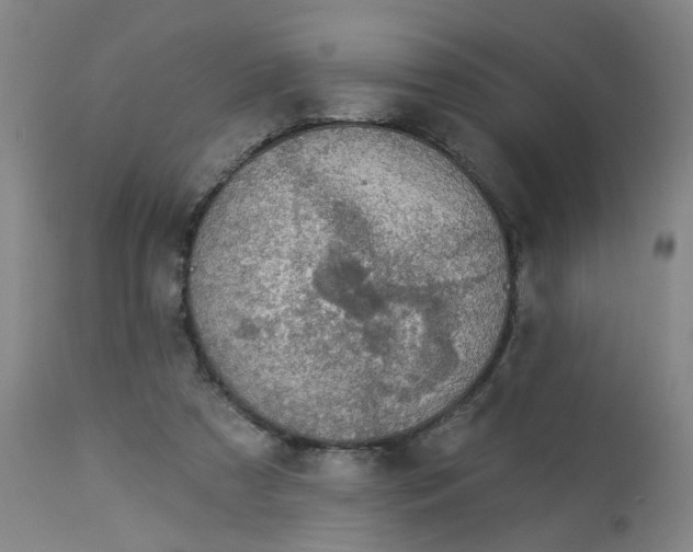 X0000113020305200909171501