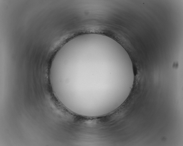 X0000113020306200909171501