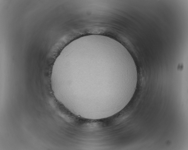 X0000113020307200909171501