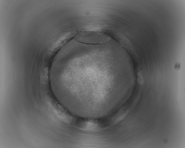 X0000113020308200909171501