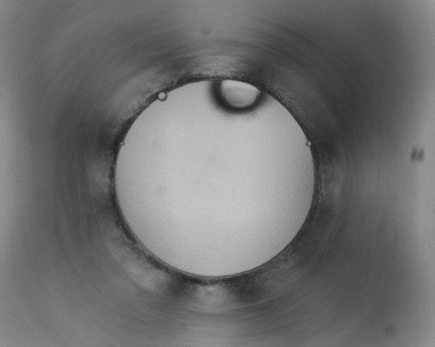 X0000113020309200909171501