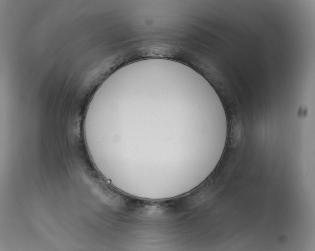 X0000113020310200909171501