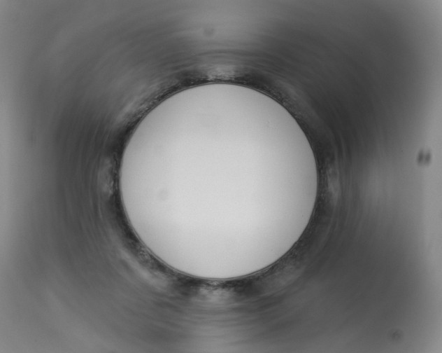 X0000113020311200909171501