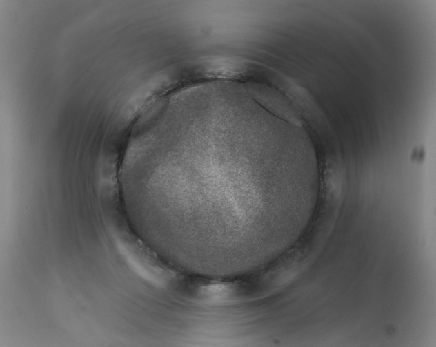 X0000113020312200909171501