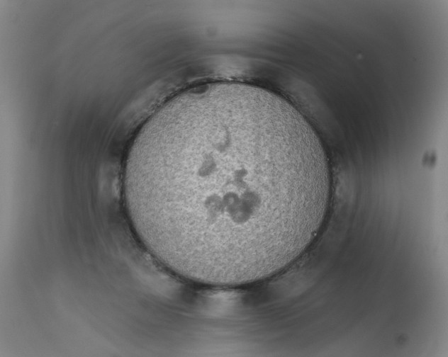 X0000113020313200909171501