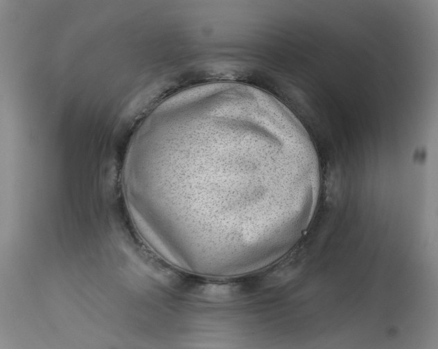 X0000113020314200909171501