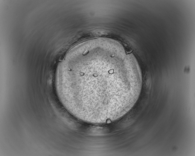 X0000113020315200909171501