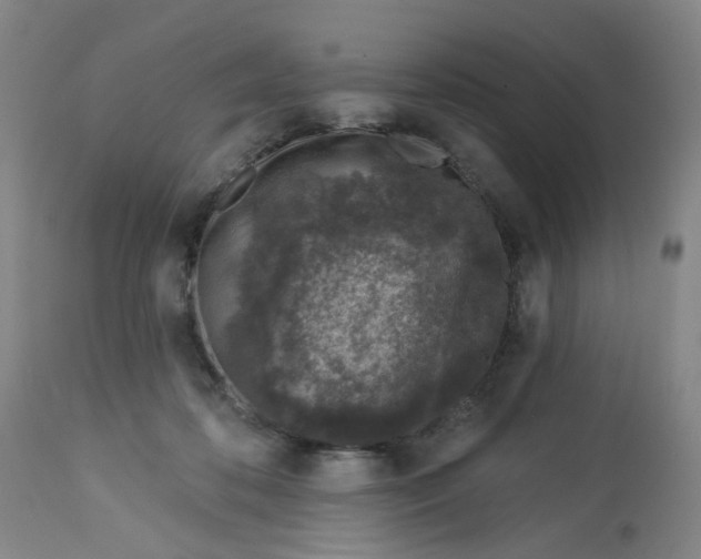 X0000113020316200909171501