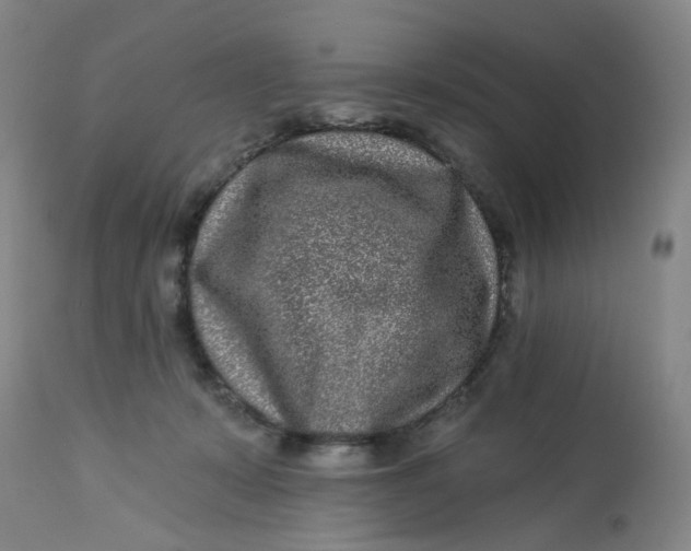 X0000113020319200909171501