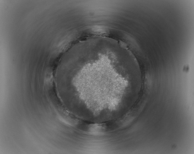 X0000113020320200909171501