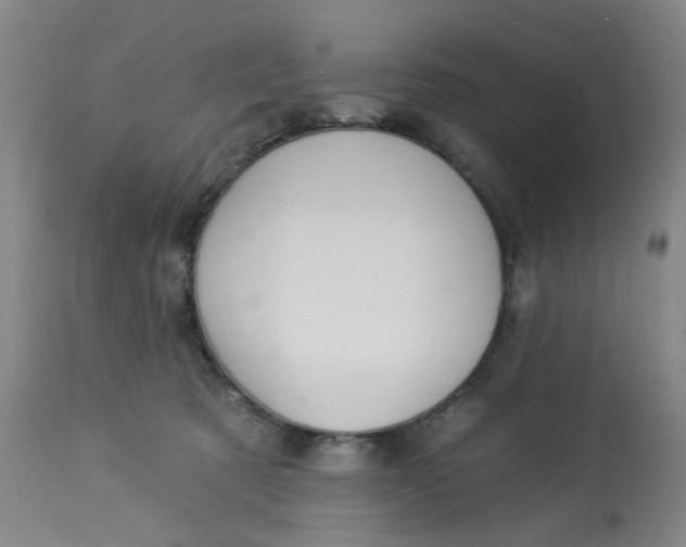 X0000113020321200909171501