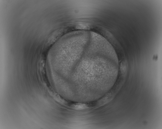 X0000113020322200909171501