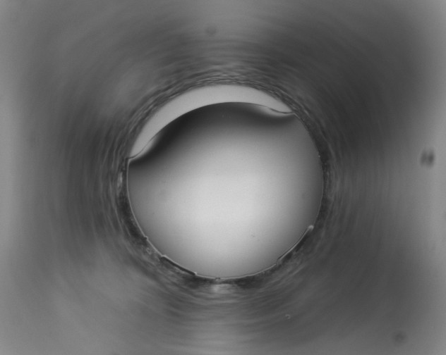 X0000113020324200909171501