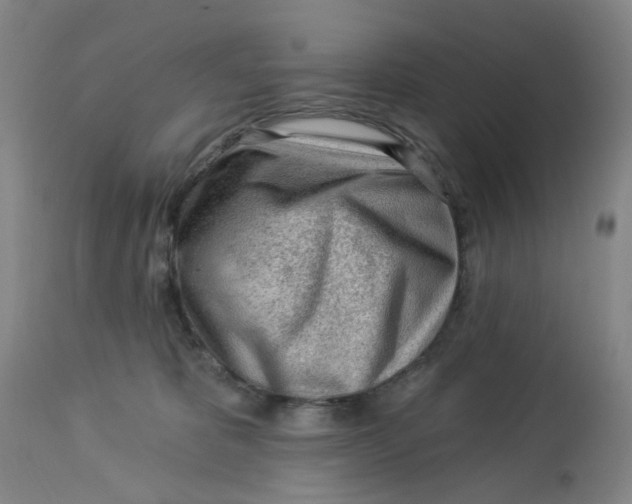 X0000113020325200909171501