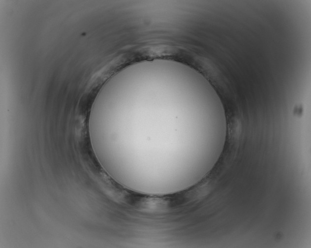 X0000113020327200909171501